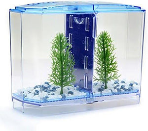Small aquarium with green plants and blue lighting on a white background at Pet Servo