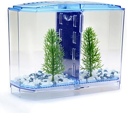 Small aquarium with green plants and blue lighting on a white background at Pet Servo