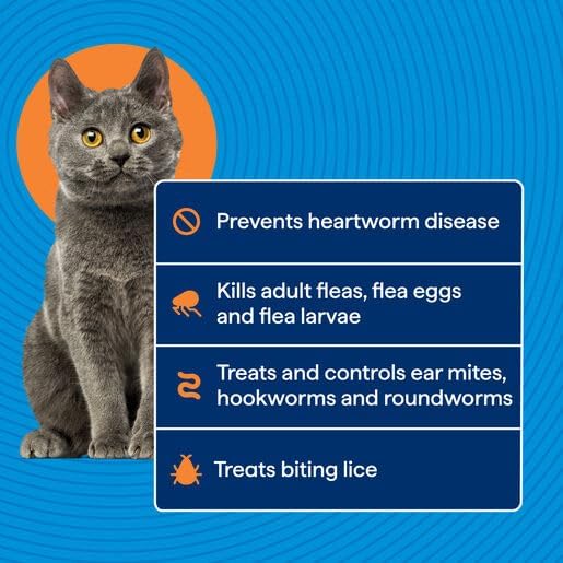 Gray cat with a blue background and text about pet medication benefits at Pet Servo