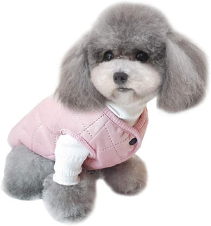 Small dog wearing a pink jacket on a white background at Pet Servo