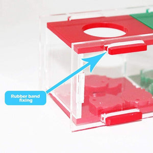 Red and green plastic container with a rubber band fixing mechanism, showing close-up of the fixing point at Pet Servo
