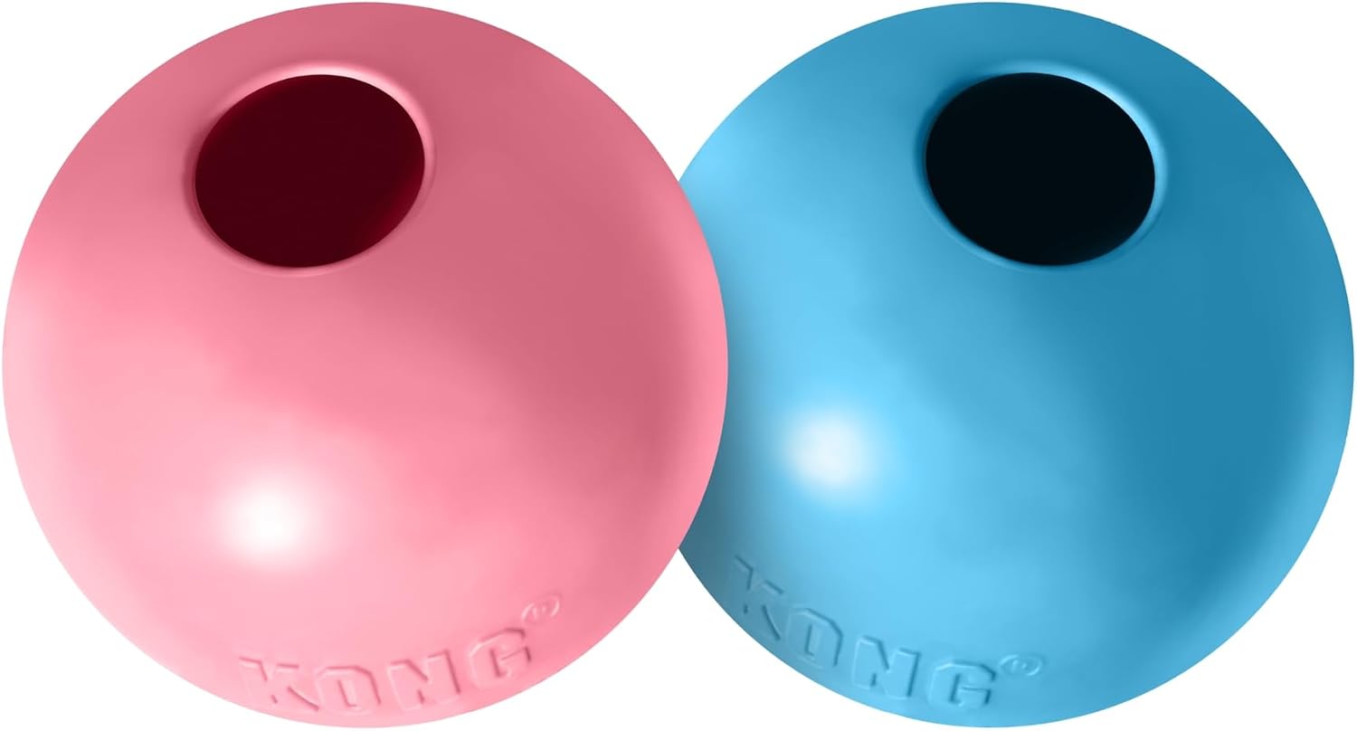 Two KONG dog toys, one pink and one blue, on a white background at Pet Servo