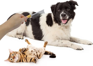 Dog being groomed by a person with a comb, lying next to a cat on a white background at Pet Servo