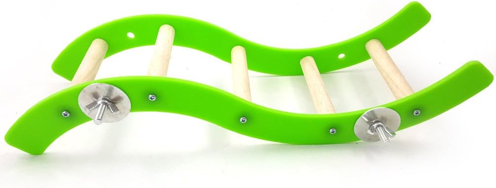 Green wavy rack with wooden pegs on a white background at Pet Servo