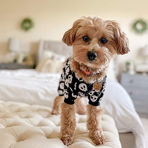 Small dog wearing a black and white skull-patterned outfit on a bed at Pet Servo