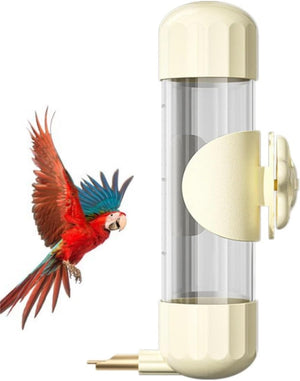 Clear bird feeder with beige top and base, featuring a colorful parrot on a white background at Pet Servo