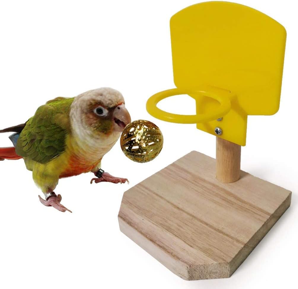 Parrot interacting with a small basketball hoop and ball on a white background at Pet Servo