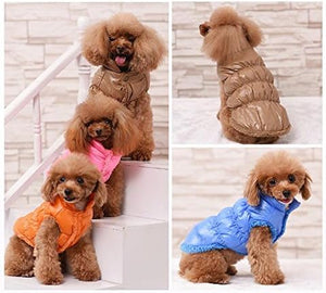 Collage of a dog wearing different colored winter coats on a white background at Pet Servo
