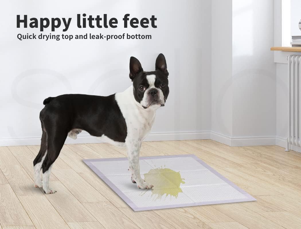 A Boston terrier dog stands on a rectangular pet pee pad in a bright room with light wood flooring and white walls. Text at the top reads 'Happy little feet' and 'Quick drying top and leak-proof bottom at Pet Servo