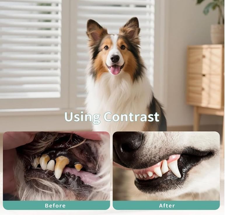 Dog with close-up of teeth labeled 'Before' and 'After' using contrast at Pet Servo