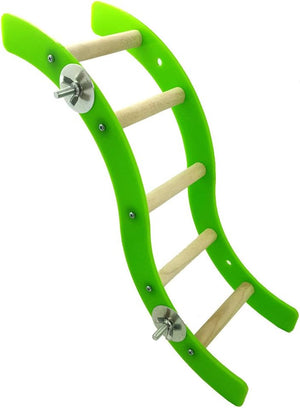 Green and beige pet climbing ladder on a white background at Pet Servo