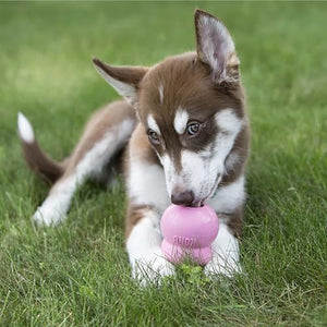 Dog playing with a pink ball on grass at Pet Servo