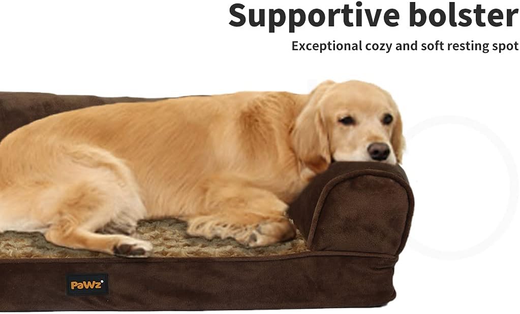 Dog lying on a brown dog bed with 'Pawz' branding, labeled as a 'Supportive bolster' at Pet Servo