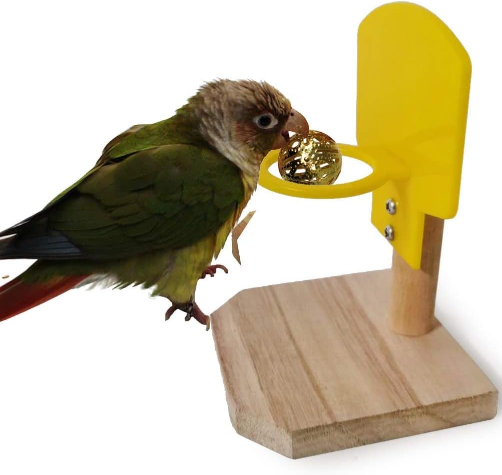 Bird interacting with a wooden and yellow bird toy on a white background at Pet Servo
