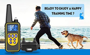 Dog training remote control with a man and dog on a beach at Pet Servo