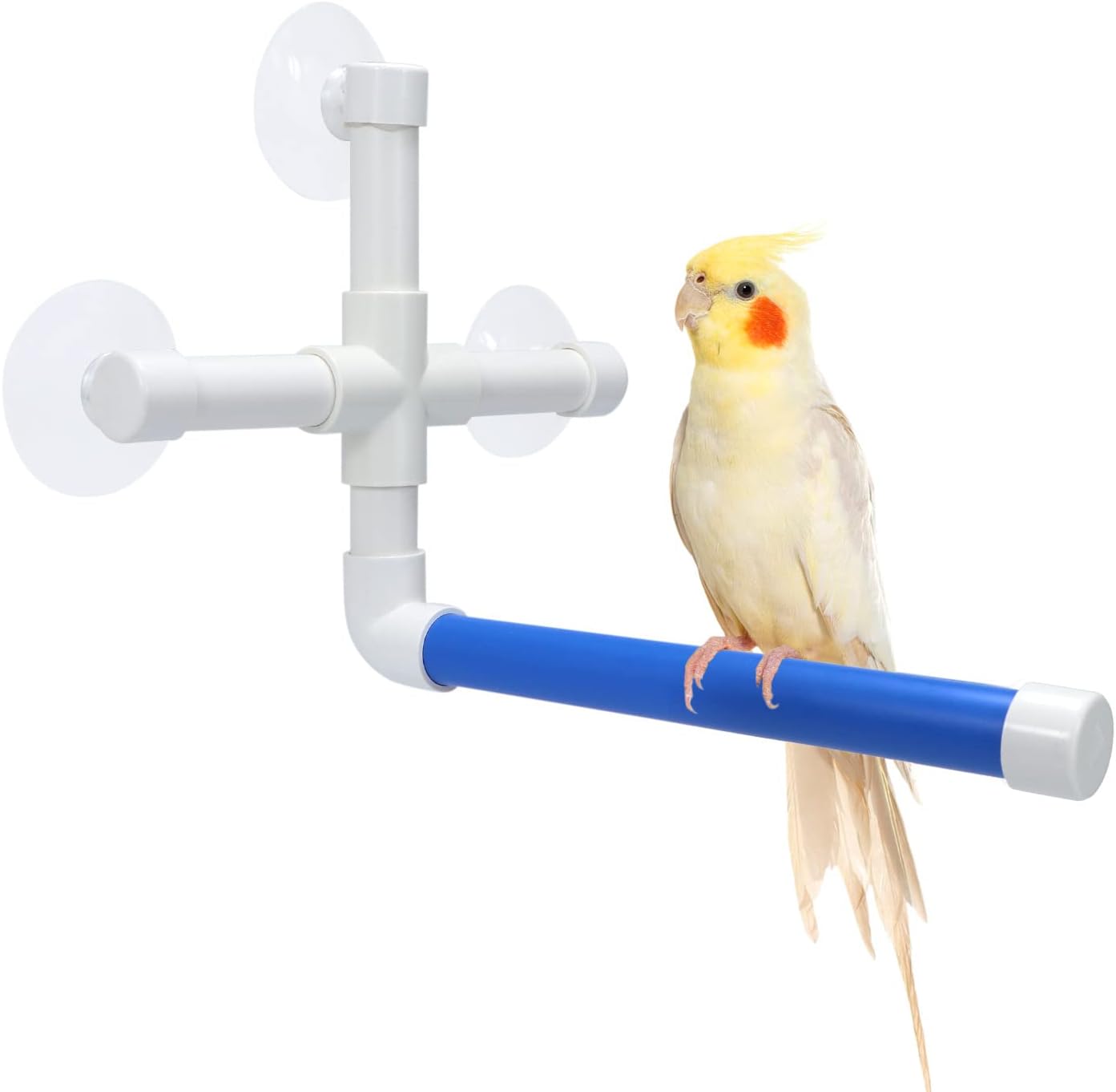 Bird perched on a blue perch attached to a white wall-mounted bird stand at Pet Servo