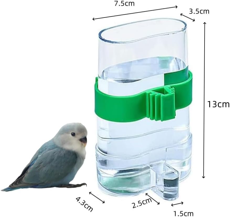 Clear bird water bottle with green handle and measurements on a white background at Pet Servo