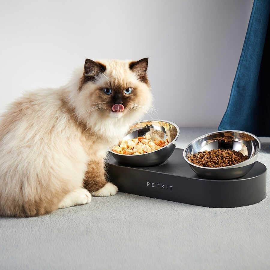 Cat sitting next to a PetKit dual-bowl feeder on a light gray surface at Pet Servo