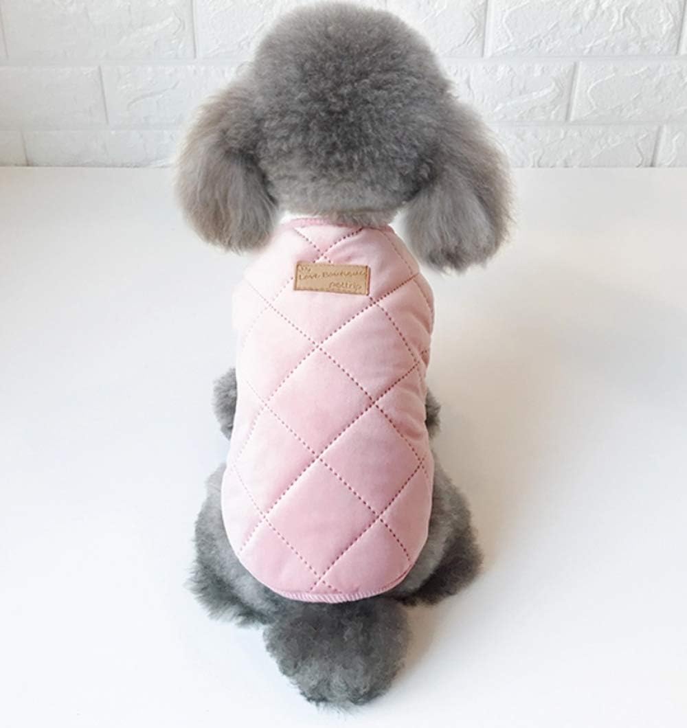 Small dog wearing a pink quilted jacket on a white background at Pet Servo