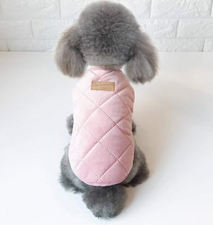 Small dog wearing a pink quilted jacket on a white background at Pet Servo