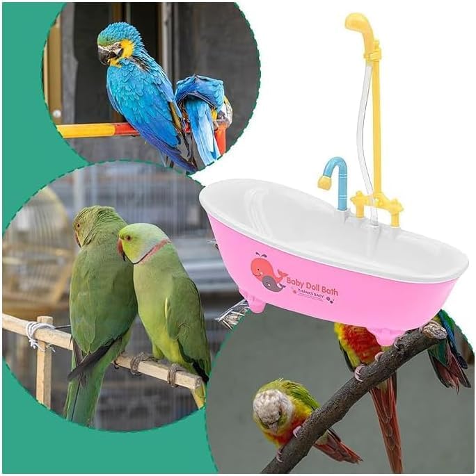Bird bath for small animals with colorful parrots around it at Pet Servo