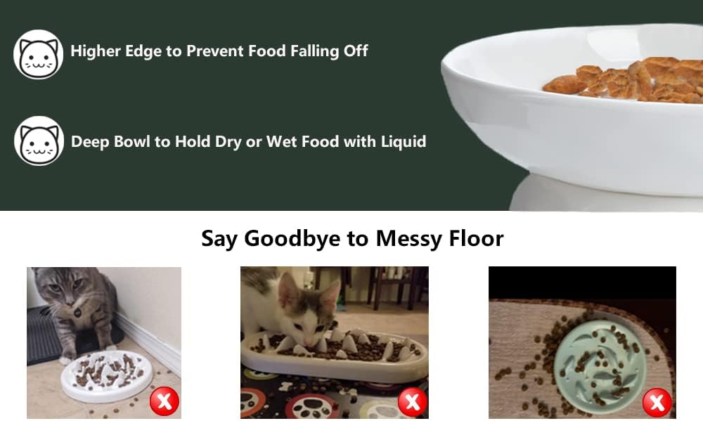 White pet food bowl with features highlighted on a green background at Pet Servo