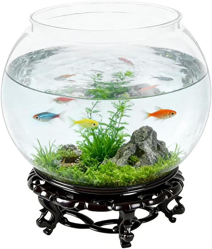 Round fishbowl with water, plants, and fish on a black stand at Pet Servo