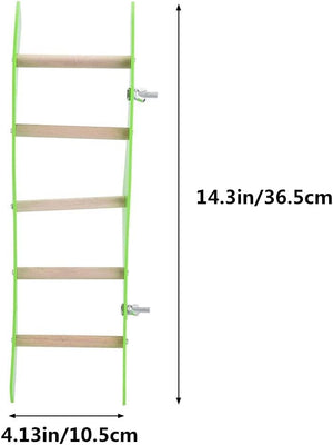 Wooden ladder with green frame and measurements on a white background at Pet Servo