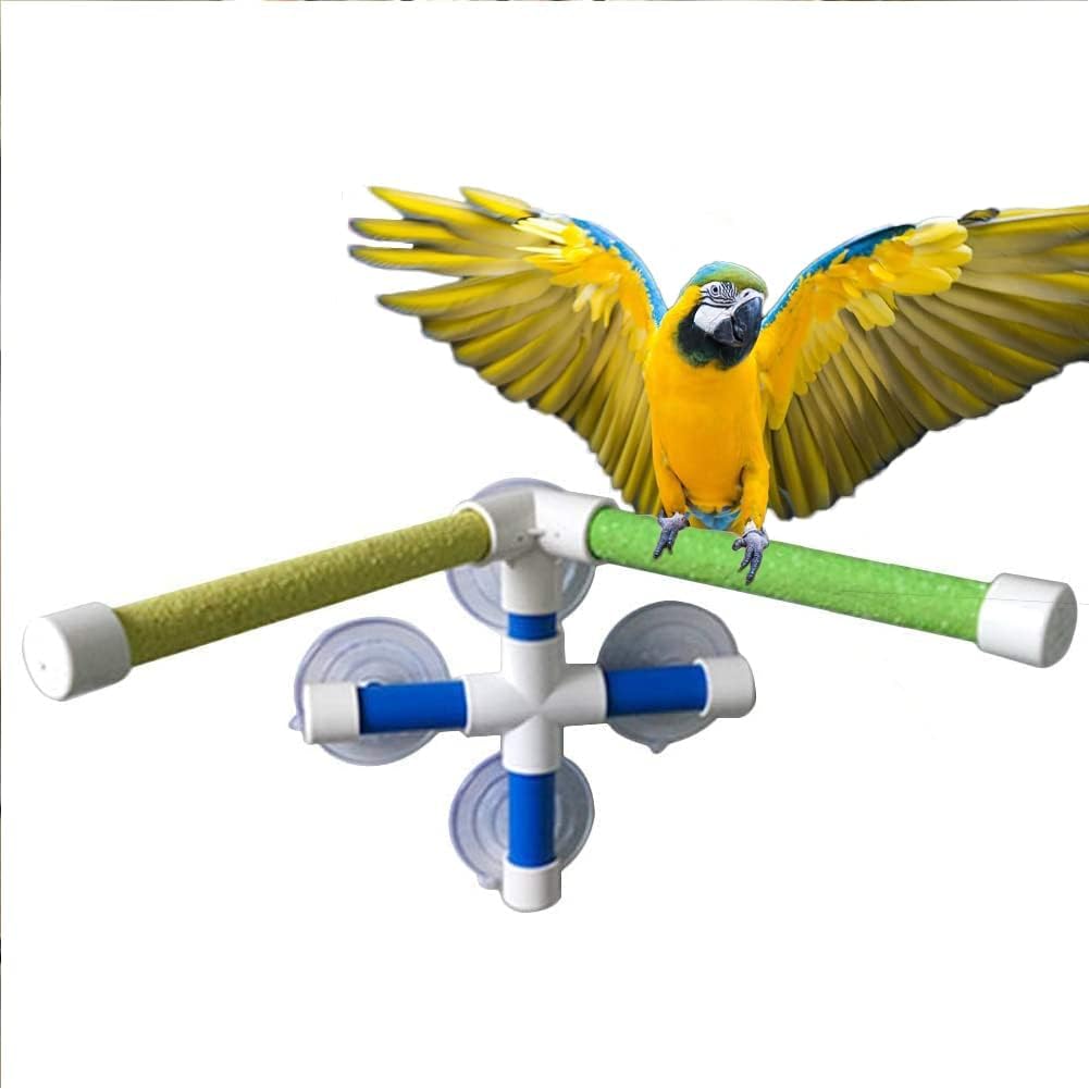 Colorful parrot perched on a toy structure with a white background at Pet Servo