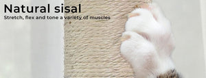 A close-up of a cat's paw scratching a sisal cat tree pad, with text on the left reading 'Natural sisal' and 'Stretch, flex and tone a variety of muscles.' at Pet Servo