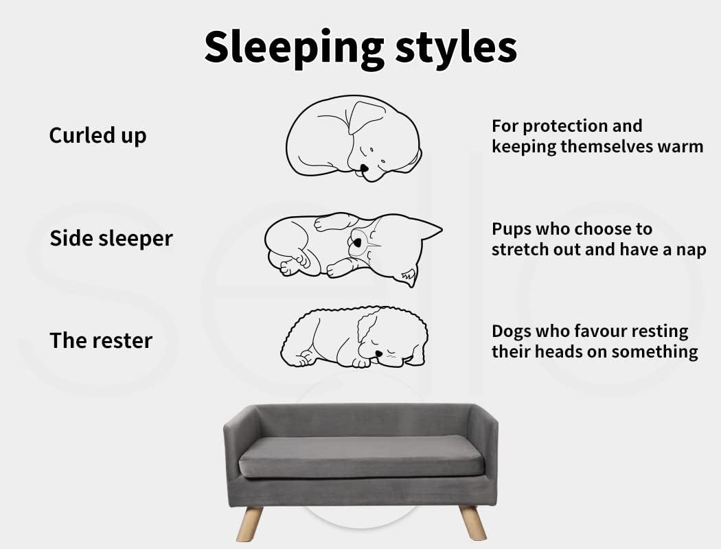 Diagram showing different sleeping styles of dogs with illustrations and text on a white background at Pet Servo