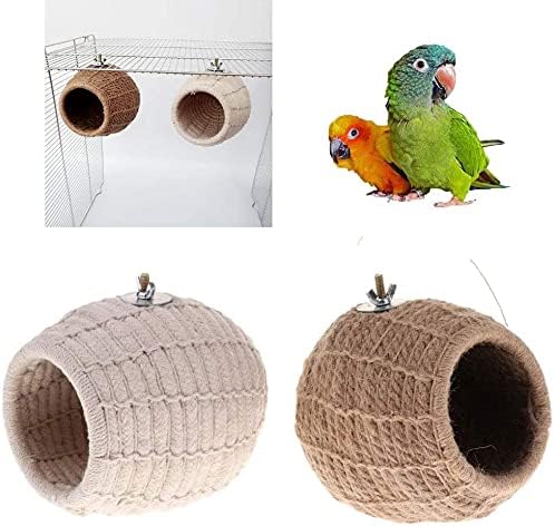 Bird nest with a parrot and another bird on a white background at Pet Servo