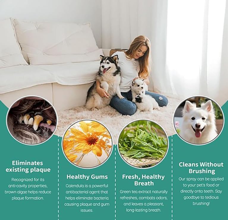 Woman sitting on a couch with two dogs, surrounded by images of pet care benefits at Pet Servo