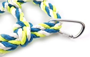 Braided rope with a metal carabiner on a white background at Pet Servo