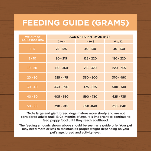 Ivory Coat - Essential 5kg Chicken And Rice Puppy Dry Food - petservo