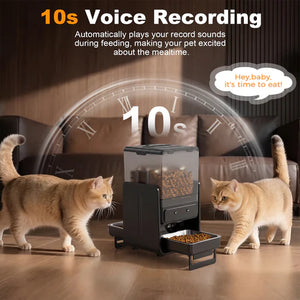 Pet feeder with two cats and a clock in the background, featuring voice recording feature at Pet Servo