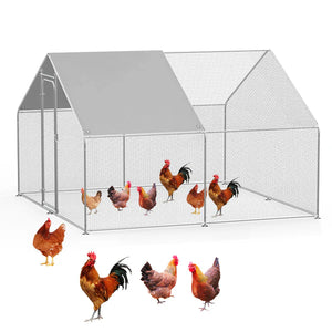 Chicken coop with chickens on a white background