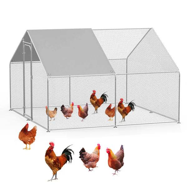 Chicken coop with chickens on a white background