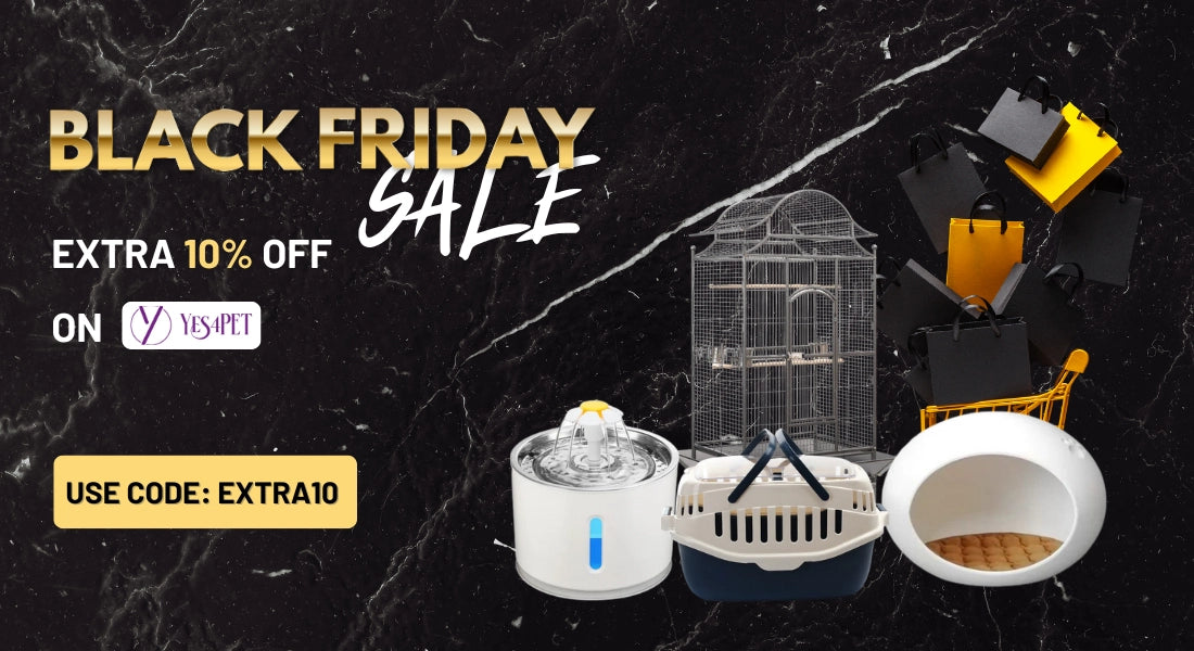 Black Friday sale advertisement with pet accessories on a black marble background