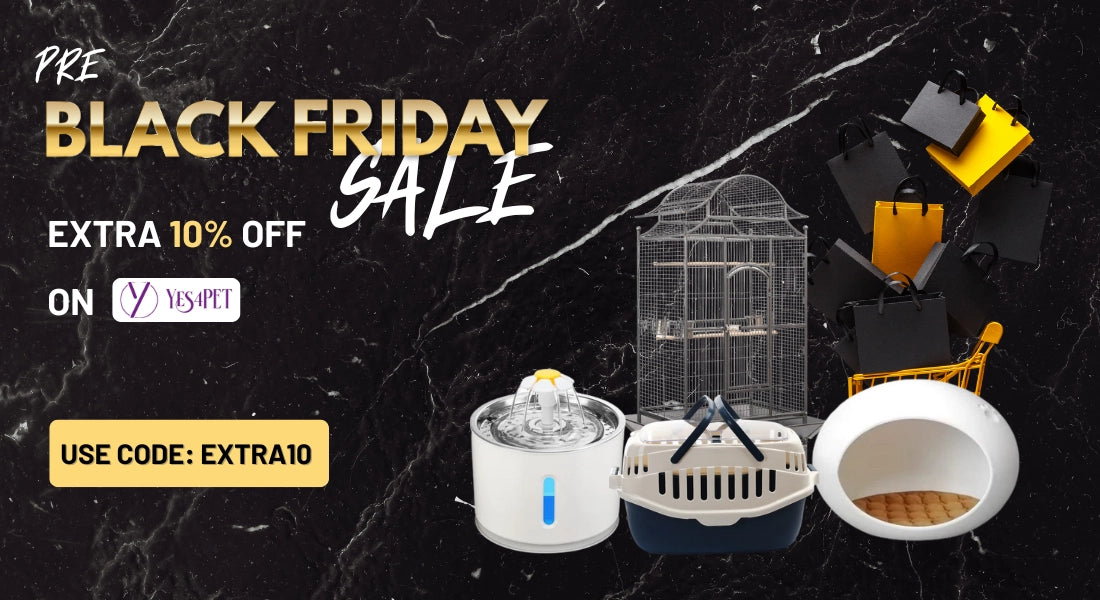 Black Friday sale advertisement with pet accessories on a black marble background