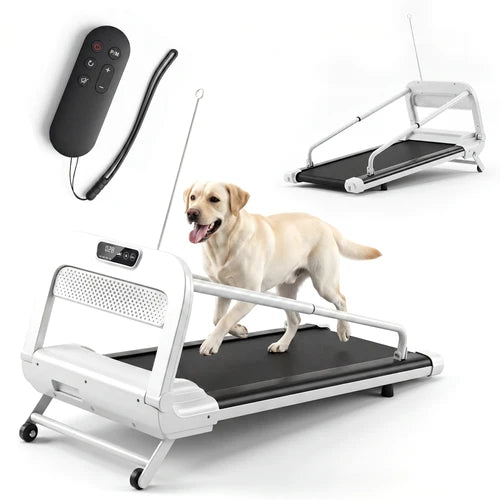 Dog treadmill with remote control on a white background at Pet Servo