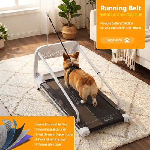 Dog using a treadmill in a home setting with product features highlighted at Pet Servo