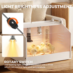 Incubator with chicks and light brightness adjustment features on a wooden surface at Pet Servo