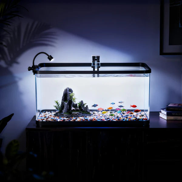 Fish tank with decorative elements on a dark surface