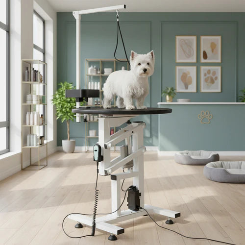 White dog on a grooming table in a modern pet salon with light blue walls and large windows at Pet Servo