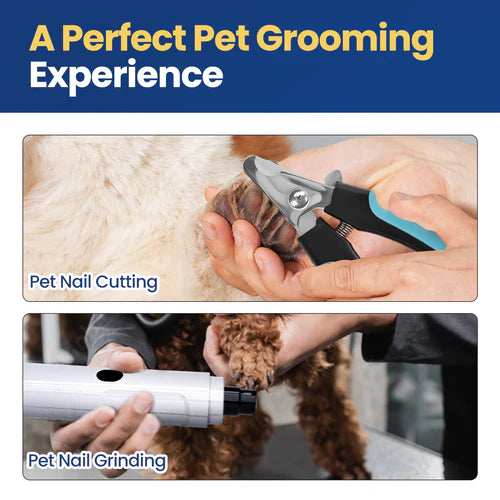 Pet grooming tools being used on a dog with text 'A Perfect Pet Grooming Experience' at Pet Servo