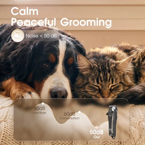 Dog and cat lying together with grooming tool and noise level indicators on a beige background at Pet Servo