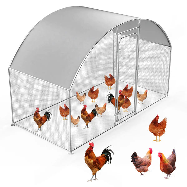 Chicken coop with chickens on a white background at Pet servo
