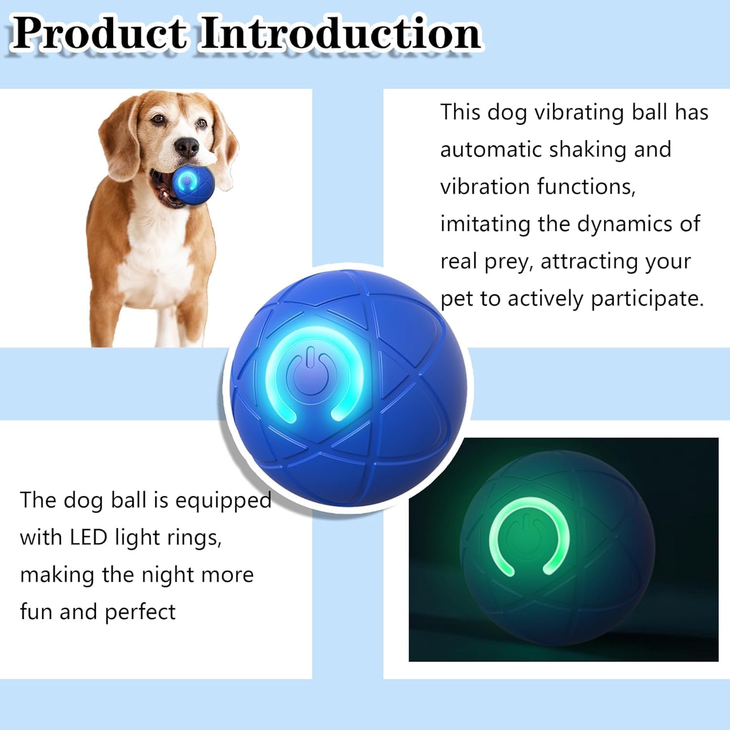 Dog playing with a blue vibrating ball on a light blue background at Pet Servo