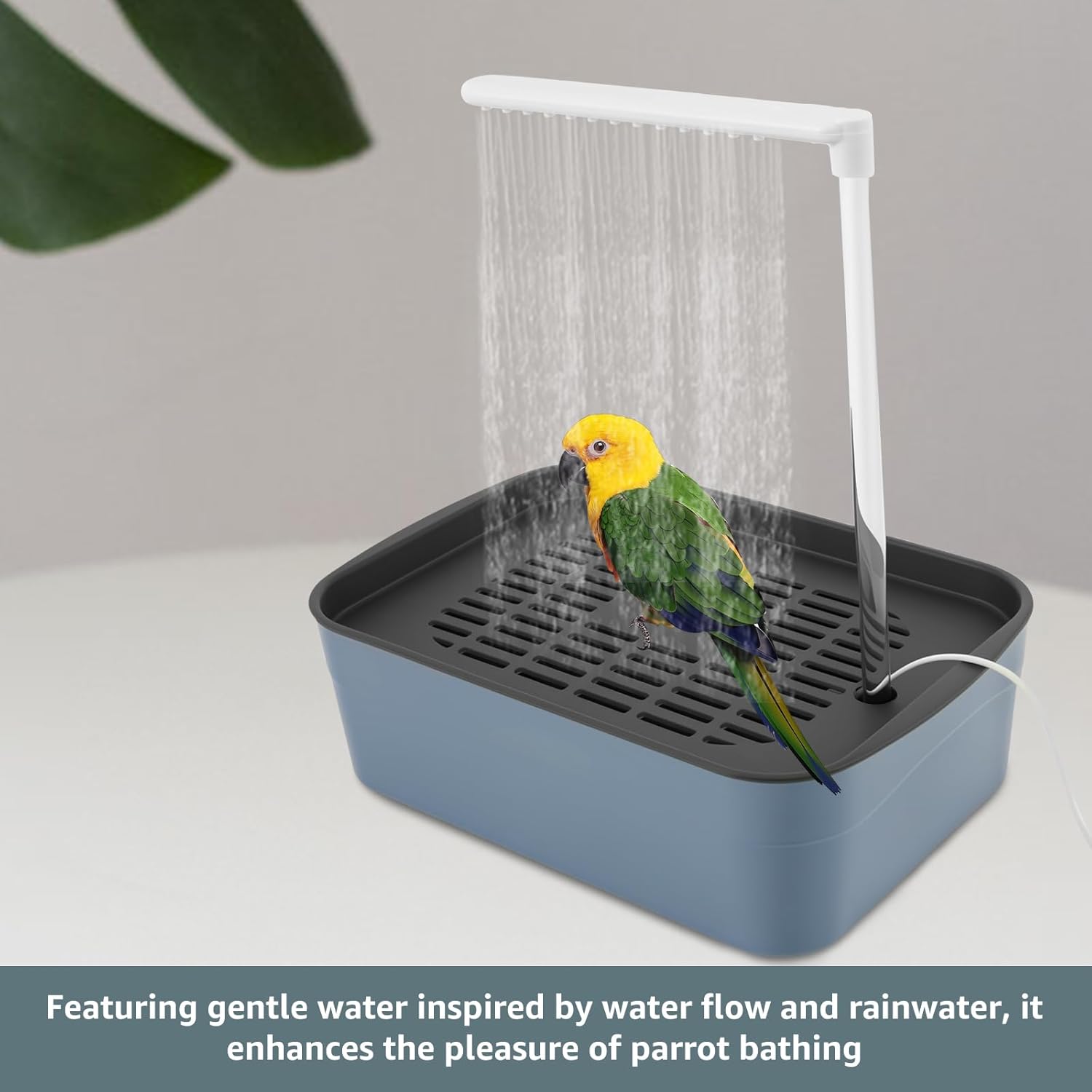 Parrot using a pet shower with water flowing over it on a light gray background at Pet Servo